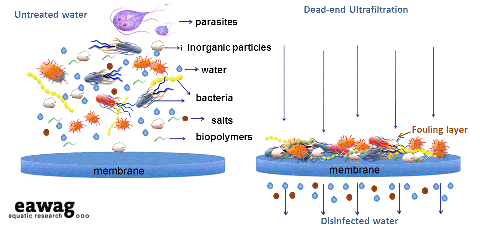 Membrane Filtration Sswm Find Tools For Sustainable Sanitation And